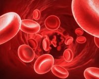 Anemia: tipos, causas e sintomas