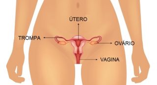 Coceira na vagina: 8 causas principais